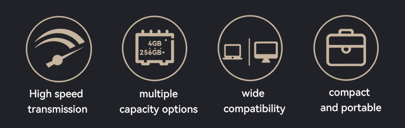 FL19 USB2.0 Fast Transfer Multiple Capacity Options Metal Casing Portable USB Flash Drive