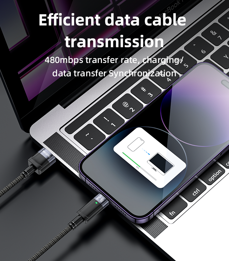 CA123L USB To IP 12W Auto Disconnecting Charging Data Cable Details