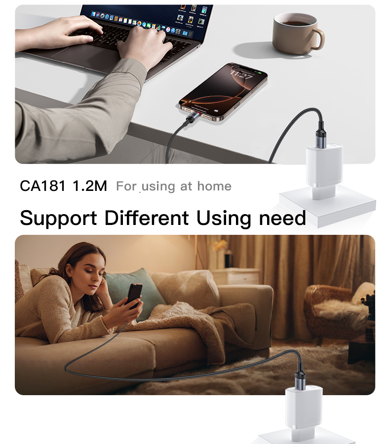 CA181 Type-C To Type-C 60W Fast Charging Data Cable Details