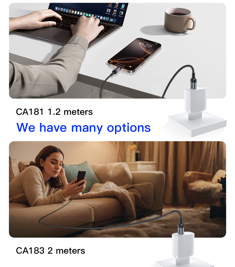 CA183 Type-C To Type-C 60W Fast Charging Data Cable Details