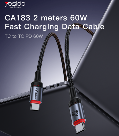 CA183 2M PD60W Fast Charging Type-C To Type-C 48-Strand Braided Cable Power LED Light Data Cable