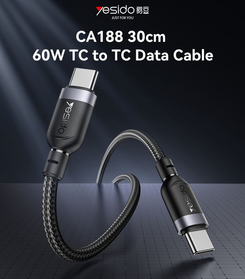 CA188 30CM Type-C To Type-C 60W Fast Charging Data Cable