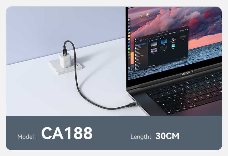 CA188 30CM Type-C To Type-C 60W Fast Charging Data Cable Details