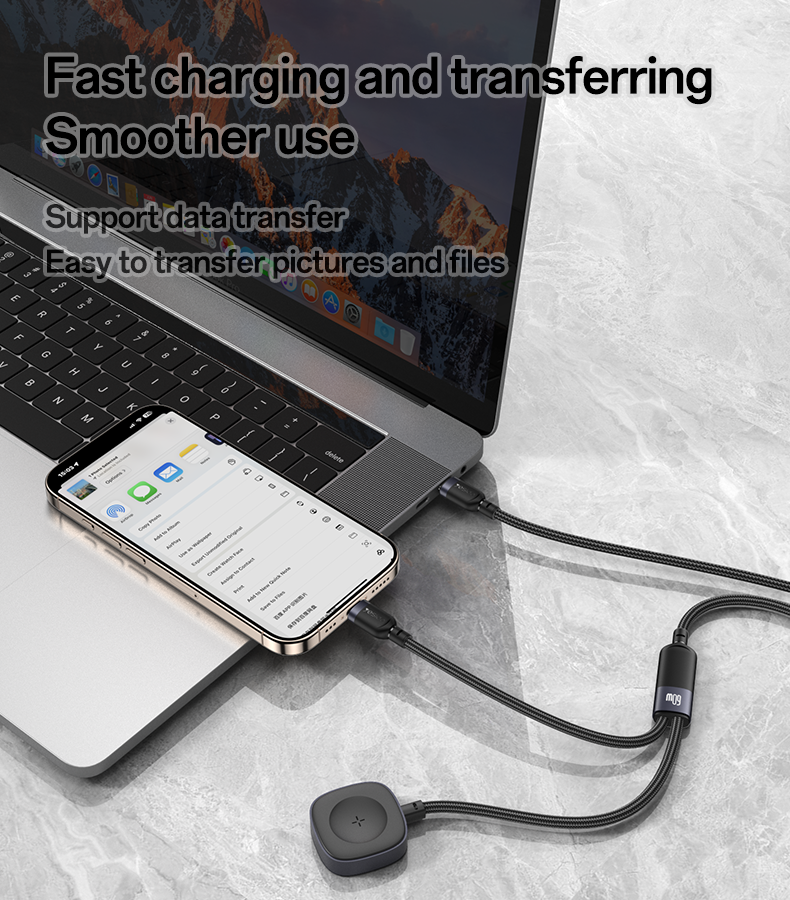 CA136C Type-C to Type-C&Watch 60W Fast Charging Data Cable Details