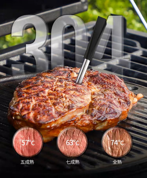 6mm Diameter Bluetooth Probe Thermometer | Wireless BBQ Thermometer | Wireless Meat Thermometer with USB Charger