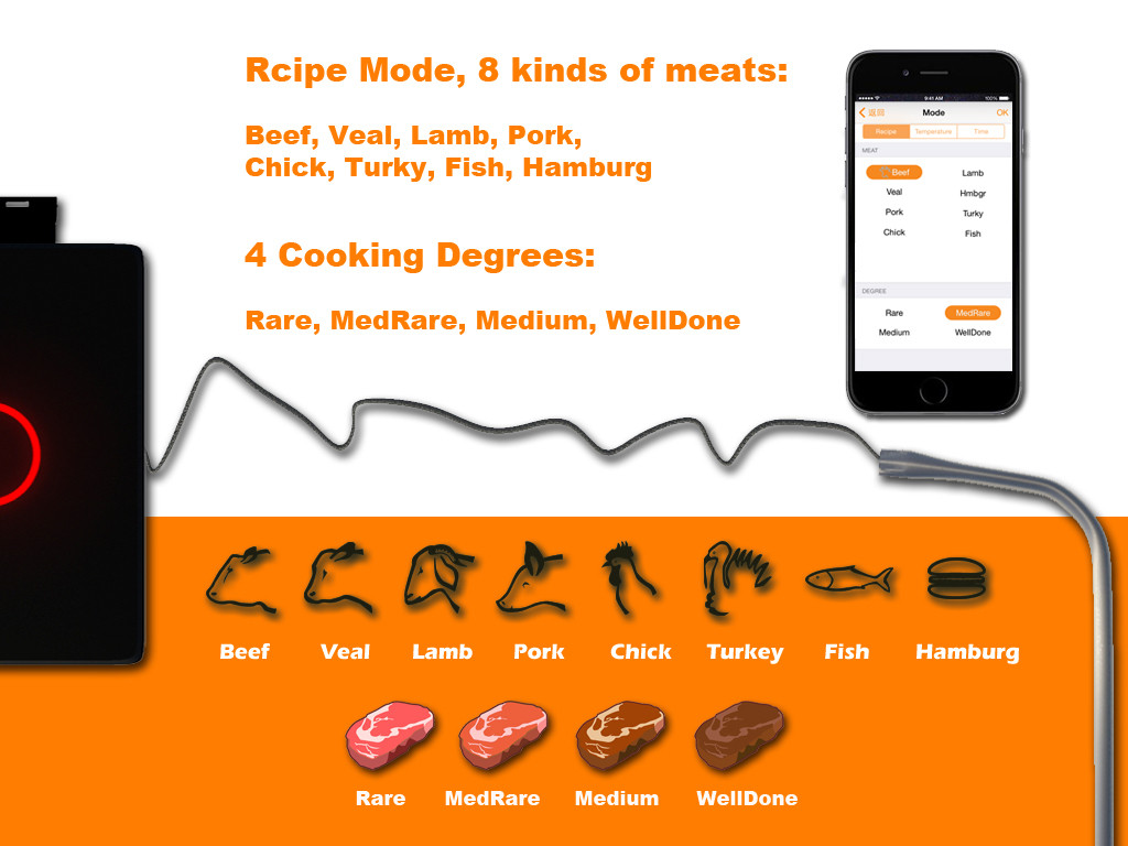 dual wired probe barbecue thermometer