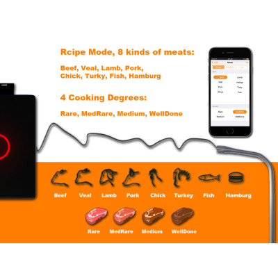 Custom Food Temperature Probes: Advanced Dual Cable Sensors for Accurate Cooking