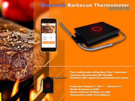 Custom Food Temperature Probes: Advanced Dual Cable Sensors for Accurate Cooking