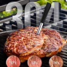 Is a Wireless Meat Thermometer Worth It?