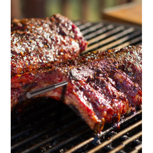 Wireless BBQ Thermometer User Guide