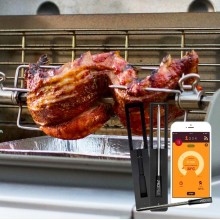 User's Guide to Using a Wireless Meat Thermometer in an Electric Rotisserie