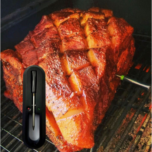 How to Choose the Right Smart Food Probe?