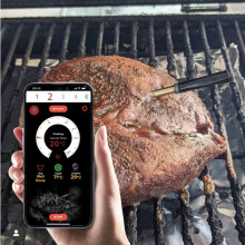 Learn the Importance of a Smart Meat Thermometer in Grilling