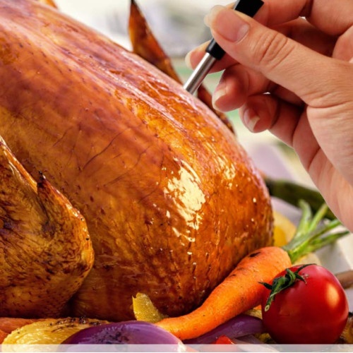 Do You Really Need a Wireless Meat Thermometer in Your Kitchen?