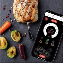 Application of Wireless Meet Thermometer in Sous Vide Cooking Technology