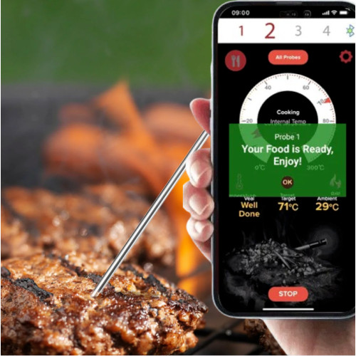 Impact of Wireless Food Thermometers on Food Safety Standards