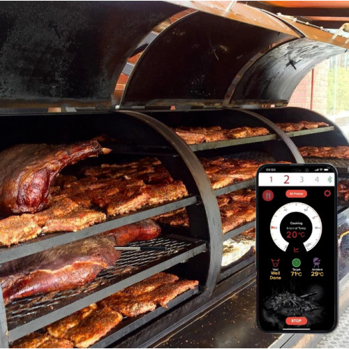 10 Revolutionary Ways Smart Food Probes Are Changing the Kitchen Game