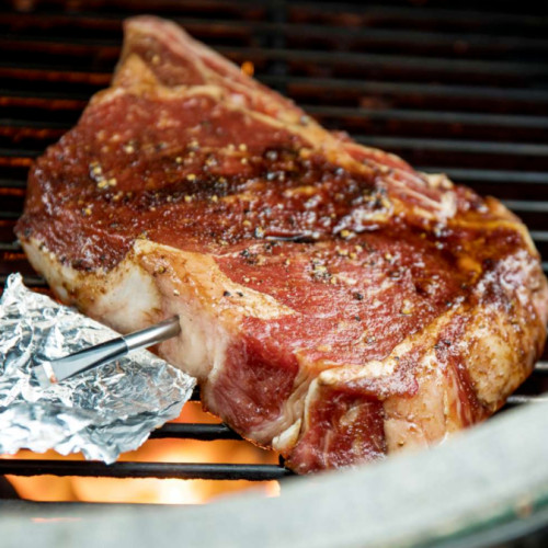 A Beginner's Guide to Using a Wireless Food Thermometer like a Pro