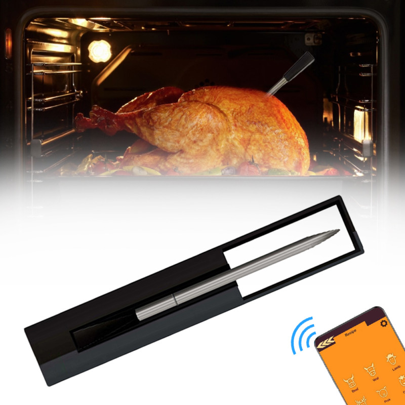 Smart Food Probe