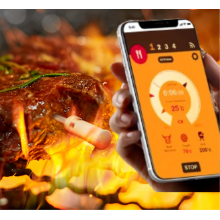 How to Use a Wireless Food Probe at a Large Party