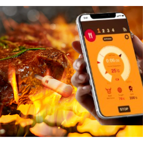 How to Use a Wireless Food Probe at a Large Party