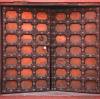 ABS Enclosures: The Ultimate Guide to Durable, Versatile, and Cost-Effective Protection
