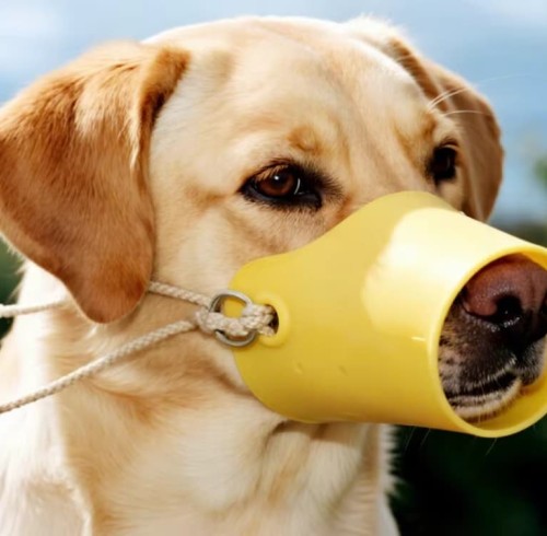Silicone Dog Muzzle Size Guide: Measure Your Dog's Snout Correctly