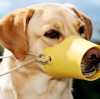 Silicone Dog Muzzle Size Guide: Measure Your Dog's Snout Correctly