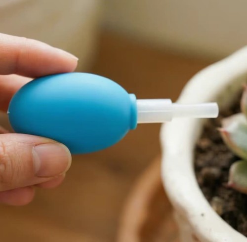 From Succulents to Lenses: 10 Unexpected Uses for a Silicone Dusting Ball