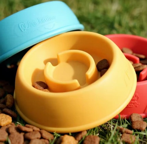 Why More Pet Boutiques Are Switching to FDA Silicone Pet Slow Feeder Bowls (And You Should Too)