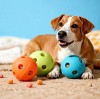 Distributor's Checklist: What to Ask Before Signing a Silicone Pet Toy Factory?