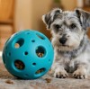 Senior Dog with Sensitive Gums? Try a BPA-Free Silicone Dog Chew Toy