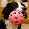 Eco-Friendly Recycled Silicone Dog Chew Toy – Sustainable Pet Product Trend