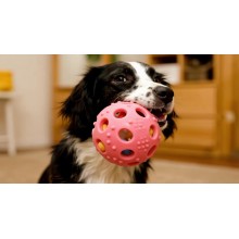 Eco-Friendly Recycled Silicone Dog Chew Toy – Sustainable Pet Product Trend