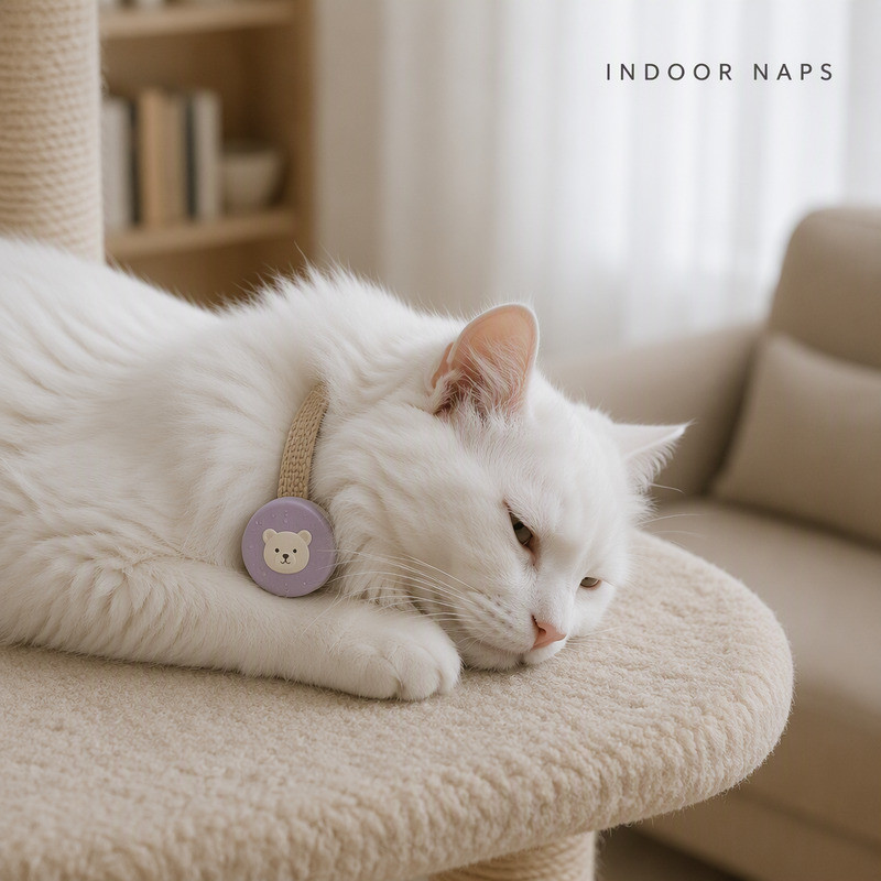 White cat resting on a cat tree wearing a lilac silicone GPS tracker cover on a woven collar