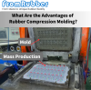What Are the Advantages of  Rubber Compression Molding?