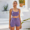 Two Piece Outfits Cotton sports bra sets Tracksuits Manufacturer |  2 Piece Workout Sweatsuits Lounge Sets Supplier