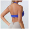 Sexy Women Halter Straps Sports Bra supplier | Custom Activities  Backless Sports Bra Vendor