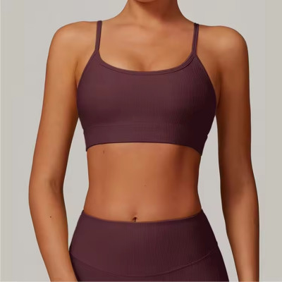 Sexy Gym Fitness Seamless Sports Bra supplier | Custom Nylon Sports Bra Vendor