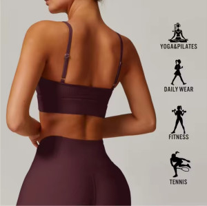 Sexy Gym Fitness Seamless Sports Bra supplier | Custom Nylon Sports Bra Vendor