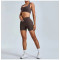 Custom Scrunch Butt Shorts 2 Piece Yoga Sets Manufacturer | Womens Sports Clothing Supplier