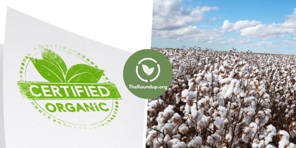 Organic cotton