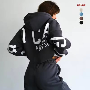 Custom Puff Printing Hoodie Set Manufacturer | 2 Two Sweat Pants Jogger Set suppliers