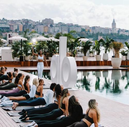 Exclusive Report : ALO 25/26 AW Collection Product and Color Analysis