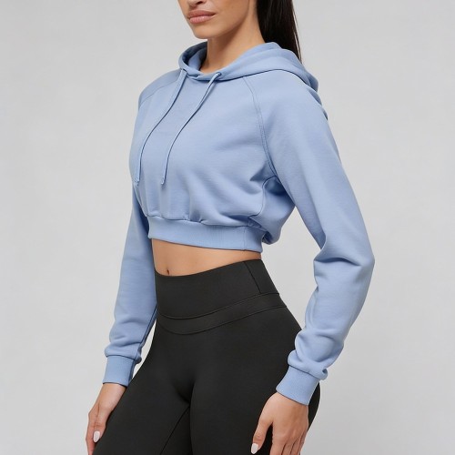 Custom Wholesale Powder Blue Crop Hoodie Raglan Sleeve Manufacturer | OEM Hoodie factory