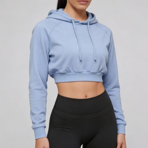 Custom Wholesale Powder Blue Crop Hoodie Raglan Sleeve Manufacturer | OEM Hoodie factory