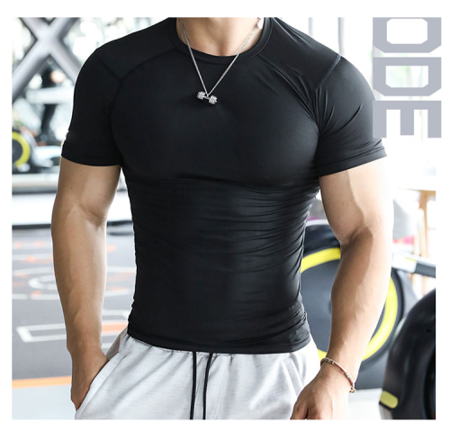 Mens Muscle Slim Fit Blank Gym T Shirts Manufacturers | QUICK DRY Custom Sports Fitness T-Shirts Manufacturer