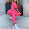Nylon Zipper Tops jackets Clothing Manufacturer | Yoga Suit 2 Pieces Womens suppliers