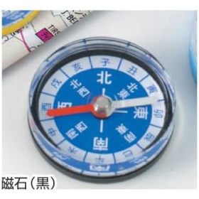 Wrist watch