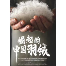 京东携手波司登等服饰品牌发起“崛起的中国羽绒” 11.11助推国货羽绒高质量发展